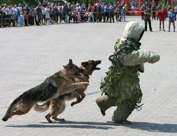 Военно-спортивный праздник, посвященный Дню пограничника, во Владивостоке