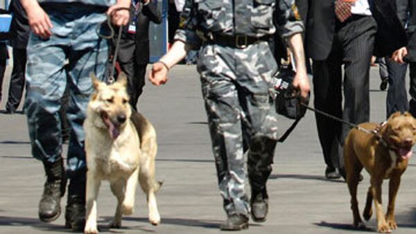 Собаки определили места под завалами дома в Омске, где могут находиться люди