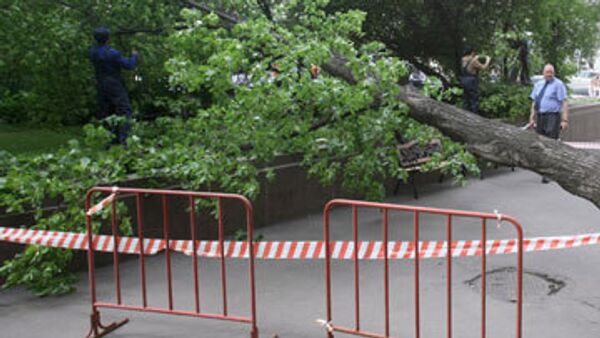 Дерево упало у Московской консерватории