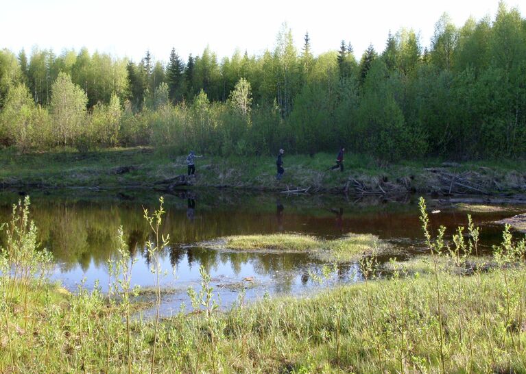 Поиски пропавших мальчиков продолжаются в Коми