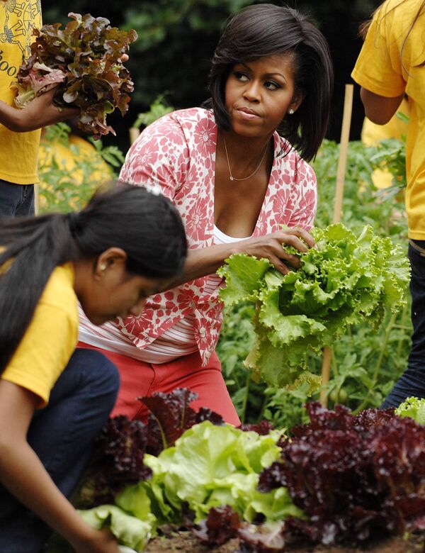 Мишель Обама собрала урожай с огорода у Белого дома