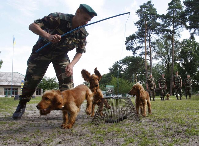 Пограничник