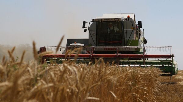 Премьер-министр В.Путин осмотрел пшеничное поле ЗАО Фирма Агрокомплекс