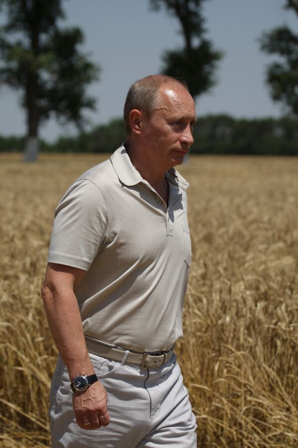 Премьер-министр В.Путин осмотрел пшеничное поле ЗАО Фирма Агрокомплекс