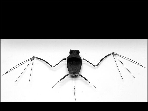 Скелет робота-«летучей мыши»