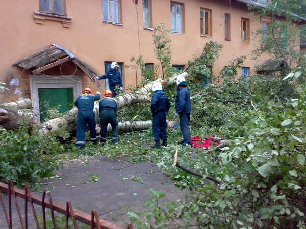 Сотрудники Курского регионального управления МЧС распиливают дерево, которое в четверг вечером упало на трех женщин