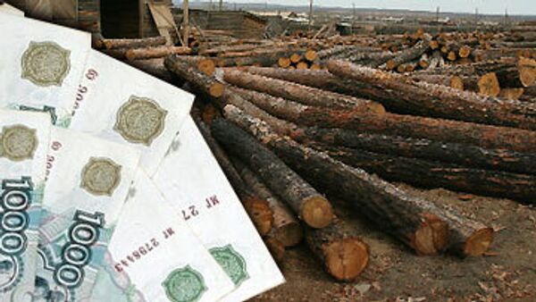 Подозреваемые в незаконной вырубке леса задержаны в Хабаровском крае