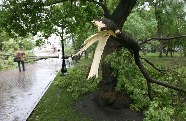 Гроза с сильным ветром и дождем прошла в Новосибирске