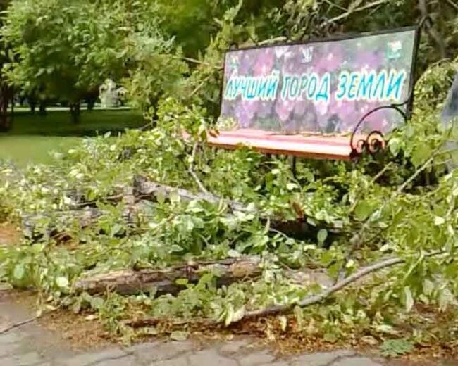 Гроза с сильным ветром и дождем прошла в Новосибирске