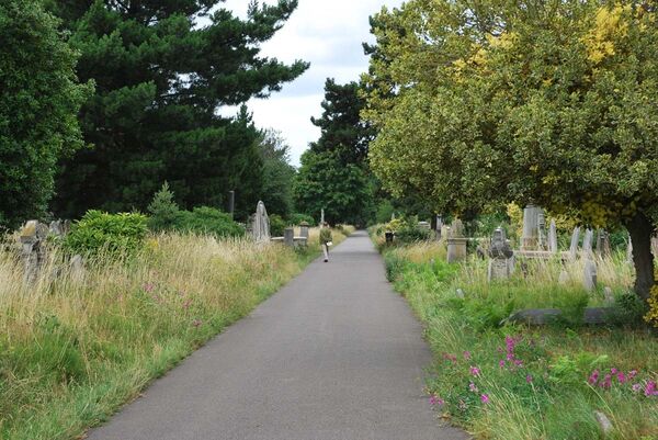 Бромптонское кладбище в Лондоне
