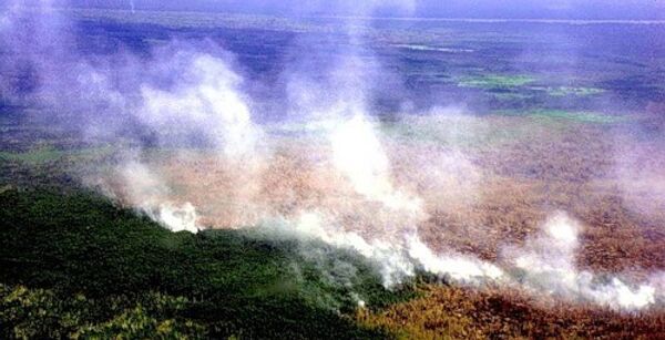 Лесные пожары в Индонезии. Архив