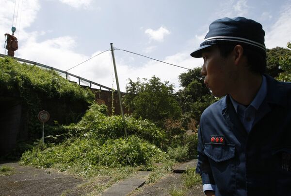 Число пострадавших при землетрясении в Японии возросло до 110 человек