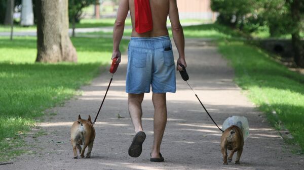 Площадки нового типа для прогулок с собаками обустроят в 22 районах Москвы