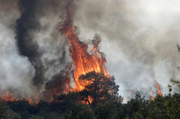 Три лесных пожара распространяются на греческом острове Закинф