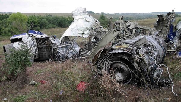 На месте падения самолета Ту-154 в поселке Каменск-Шахтинский в 138 км от Ростова-на-Дону, потерпевшего катастрофу 24 августа 2004 года