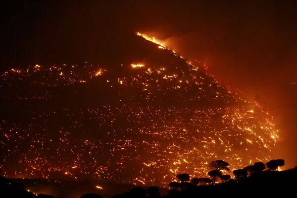 Пожары в Греции начались из-за сожженного осиного гнезда - следствие