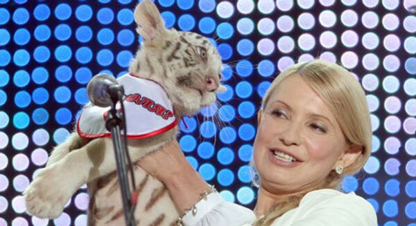Юлия Тимошенко с тигренком