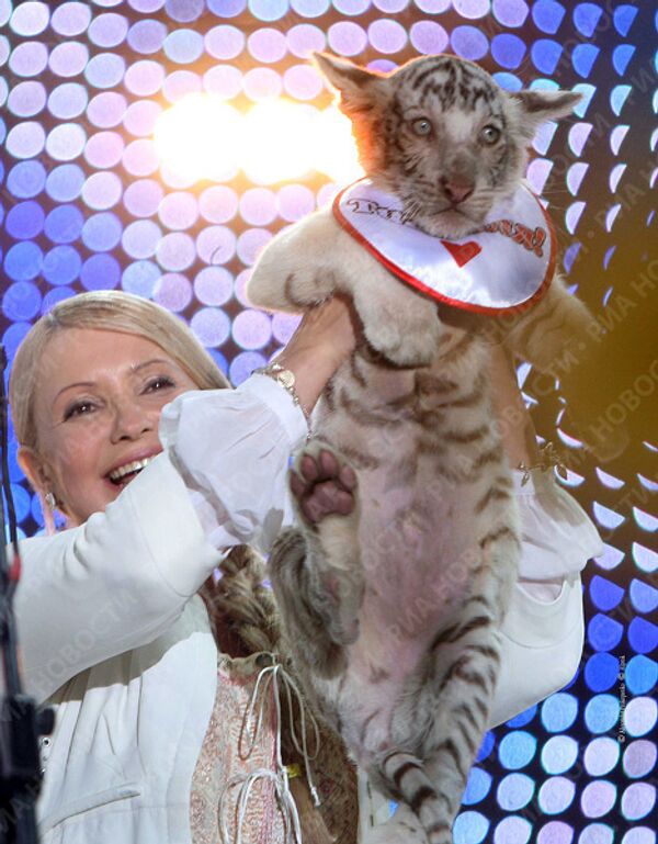 Юлии Тимошенко в Скадовске подарили белого бенгальского тигренка