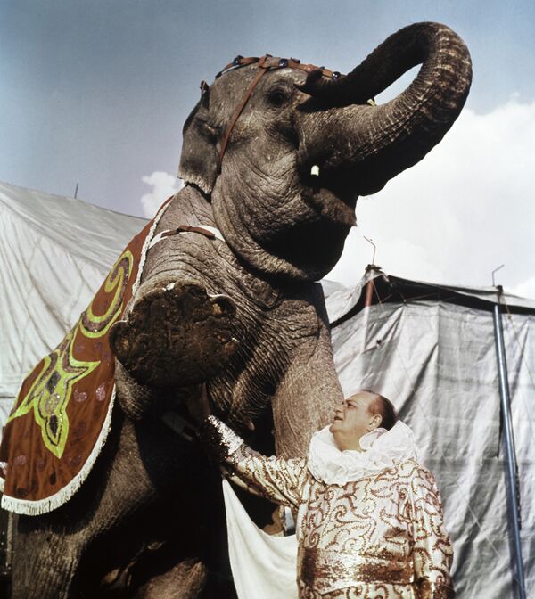 Дуров репетирует со слоном