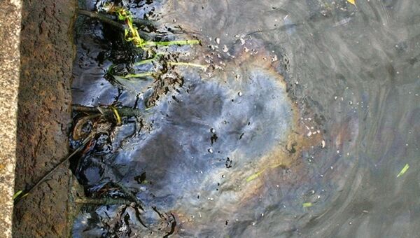 Пятно нефтепродуктов на поверхности реки Москвы выше по течению от причала Воробьевы горы