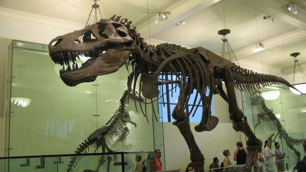 Скелет тираннозавра в Американском музее естествознания