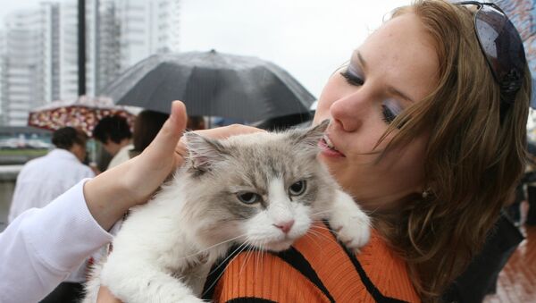 День кота в Калининграде