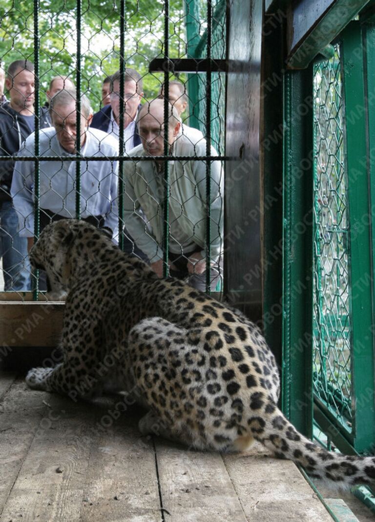 Премьер-министр РФ Владимир Путин посетил Сочинский национальный парк Премьер-министр РФ Владимир Путин посетил Сочинский национальный парк