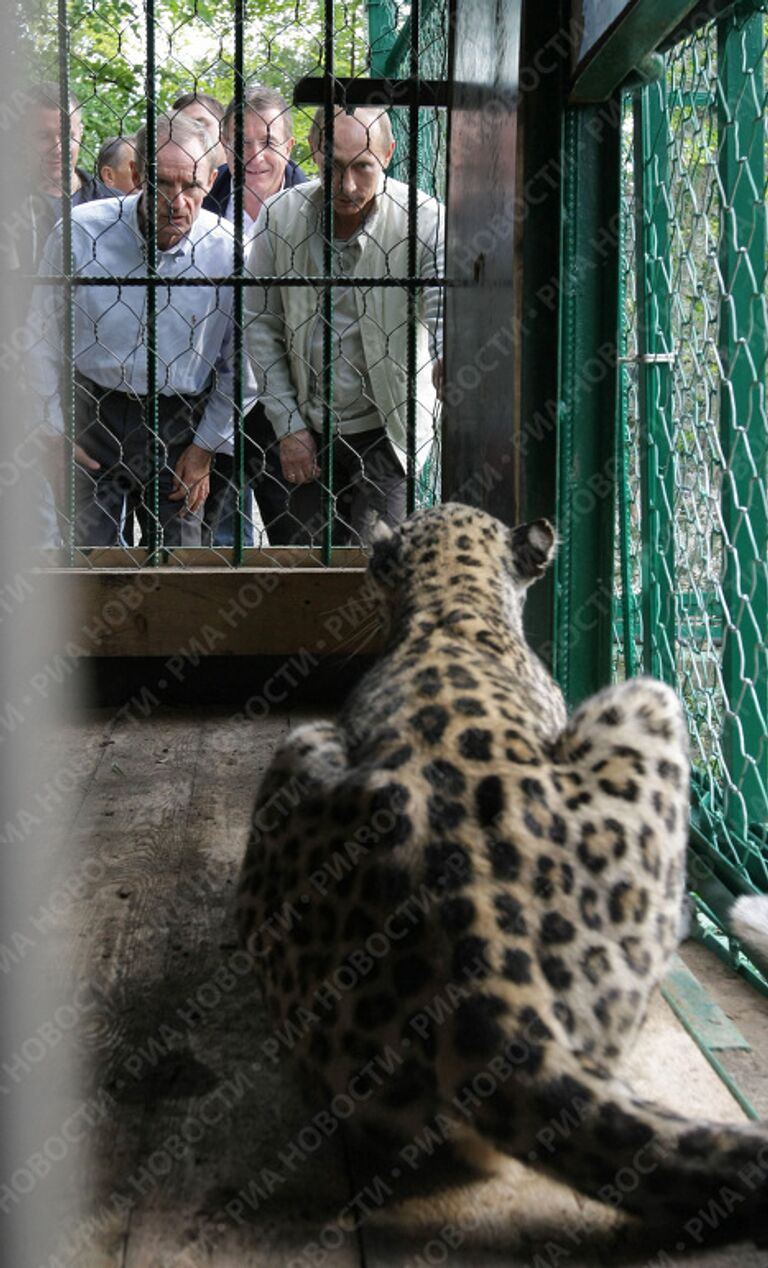 Премьер-министр РФ Владимир Путин посетил Сочинский национальный парк Премьер-министр РФ Владимир Путин посетил Сочинский национальный парк