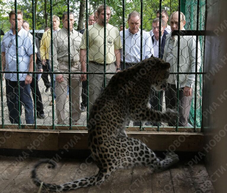 Премьер-министр РФ Владимир Путин посетил Сочинский национальный парк Премьер-министр РФ Владимир Путин посетил Сочинский национальный парк