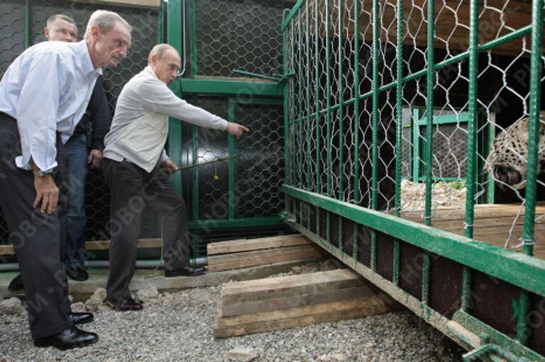 Премьер-министр РФ Владимир Путин посетил Сочинский национальный парк Премьер-министр РФ Владимир Путин посетил Сочинский национальный парк