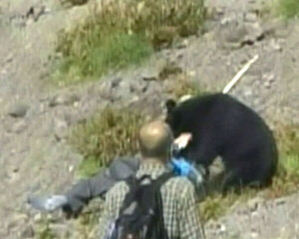 Черный медведь набросился на туристов. Видео очевидца