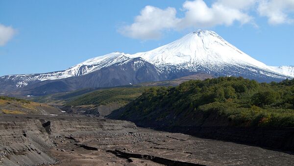 Подножье вулкана Авачинский на Камчатке, архивное фото