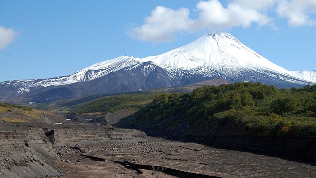 Подножье вулкана Авачинский на Камчатке. Архивное фото