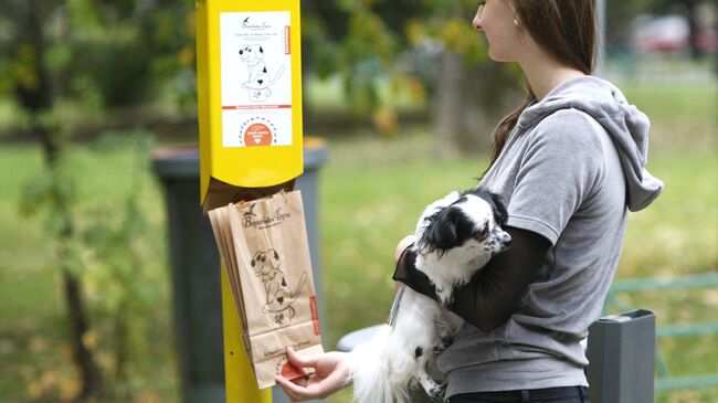 Сбор собачьих экскрементов