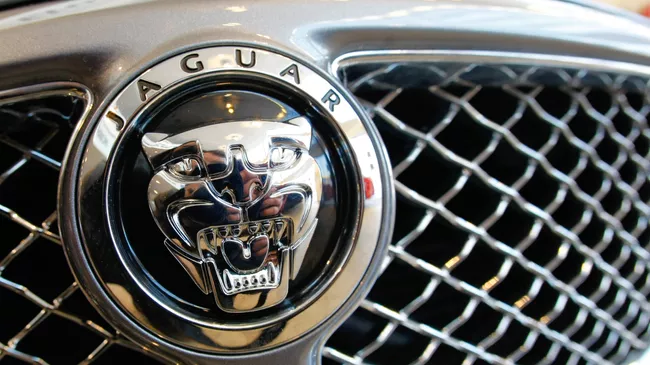 Jaguar. Архивное фото