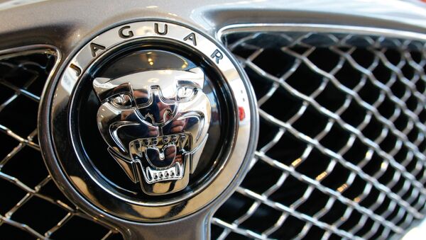 Логотип Jaguar. Архивное фото