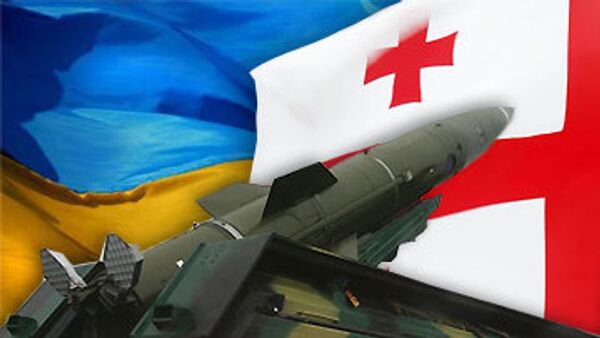 При поставках Грузии оружия Украина соблюдала все нормы - Джалагания