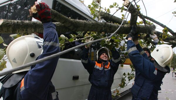 Ликвидация последствий штормового ветра в Калининграде