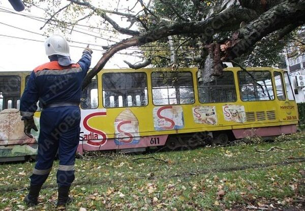 Ликвидация последствий штормового ветра в Калининграде