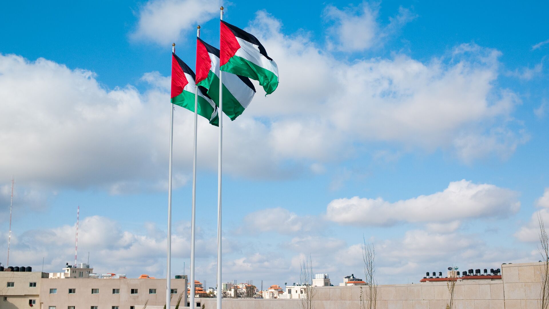 Флаги Палестины - РИА Новости, 1920, 12.02.2023