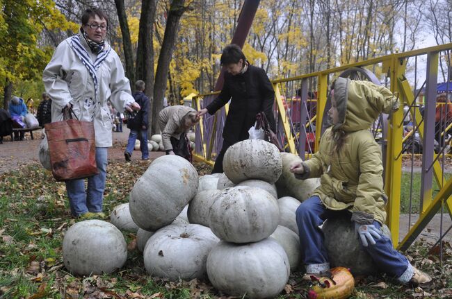 Тыквенный праздник в городе Мытищи