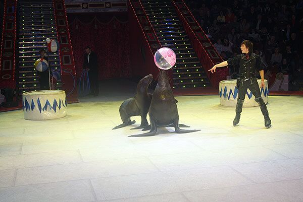 Артисты Никулинского цирка во время представления новой программы