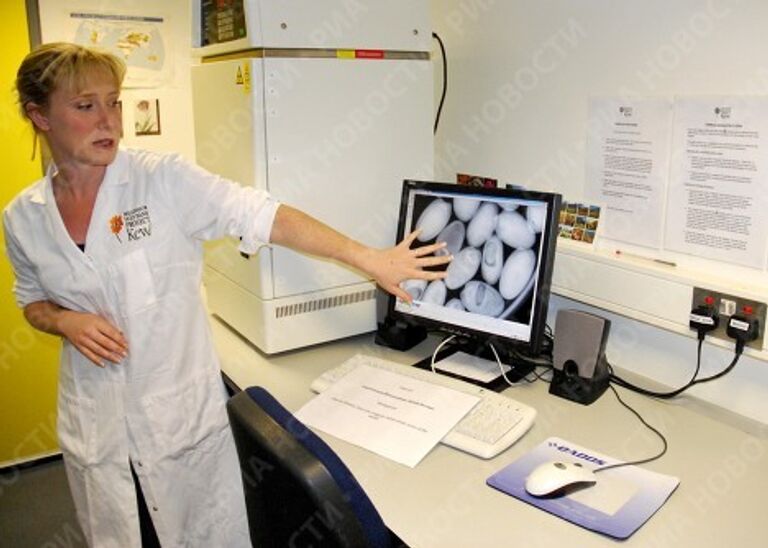 Банк семян Kew's Millennium Seed Bank в Великобритании