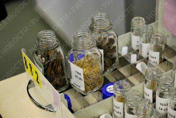 Банк семян Kew's Millennium Seed Bank в Великобритании