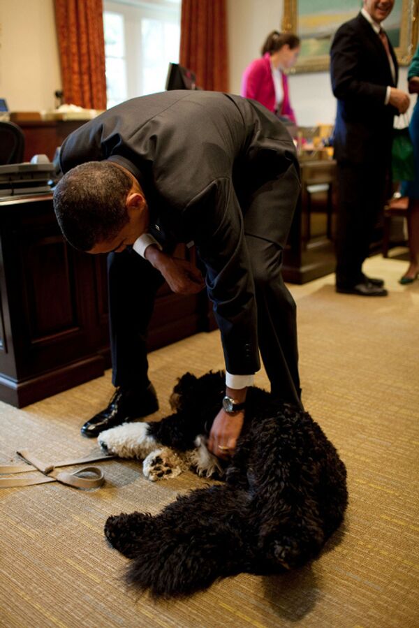Президент США Барак Обама со своей собакой Бо в Белом доме