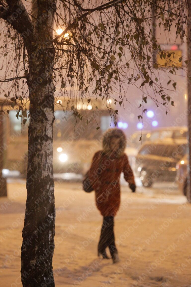 Первый сильный снегопад в ноябре