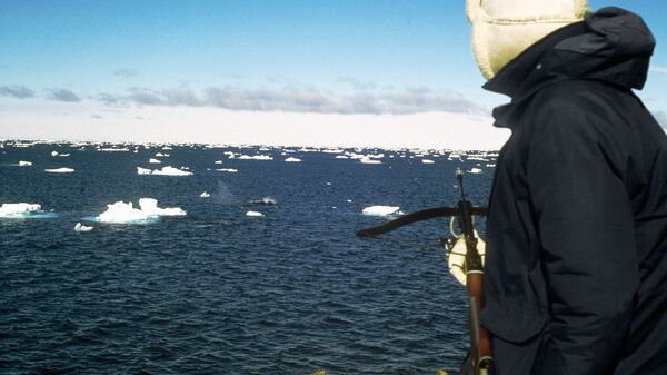 Экспедиция по изучению китов в Антарктике