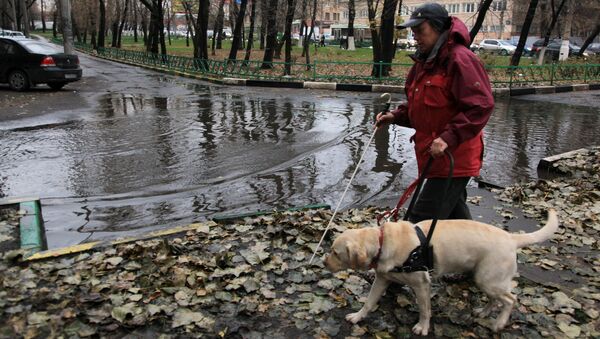 Тренировка собак-поводырей в Москве. Архивное фото