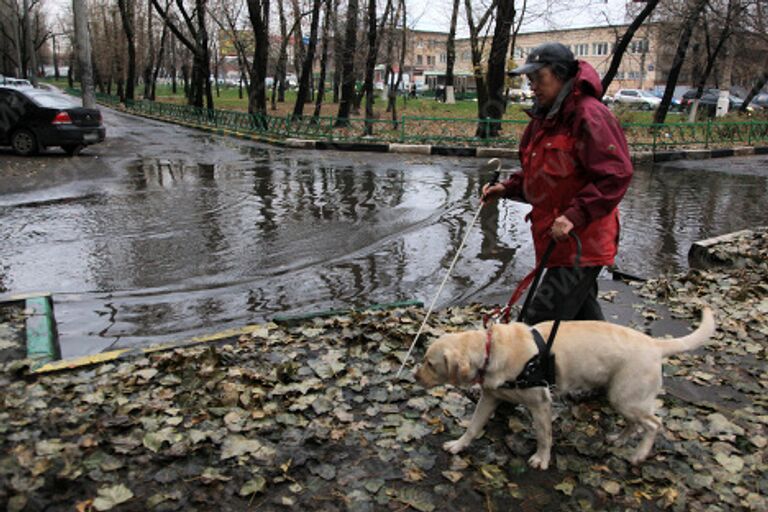 Тренировка собак-поводырей в Москве