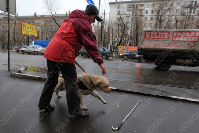 Тренировка собак-поводырей в Москве